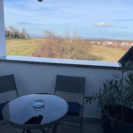 Vila Milka - Balkon - Besplatan Parking - Samostalna Prijava 카를로바츠 외부 사진
